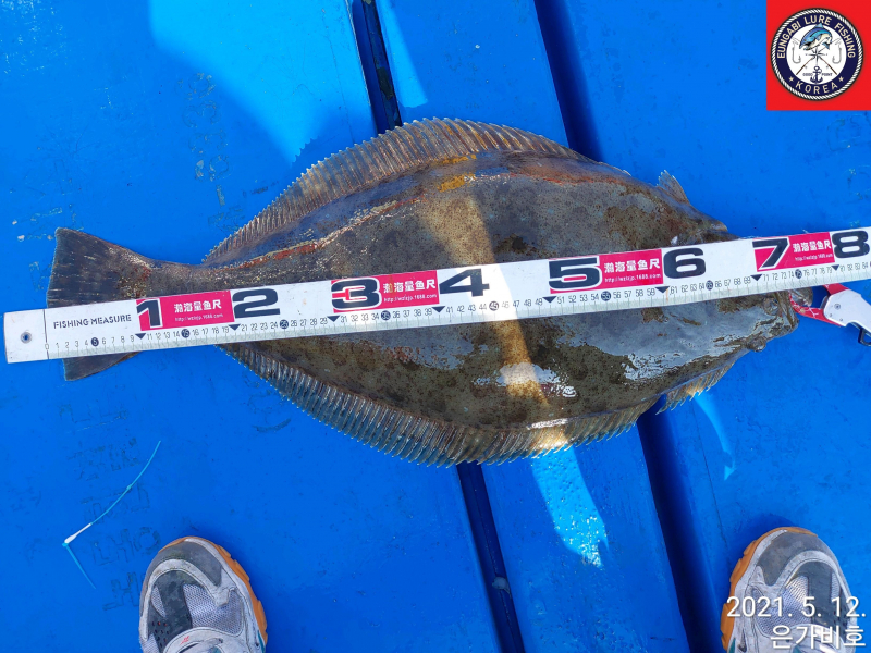 5월12일 출조후기