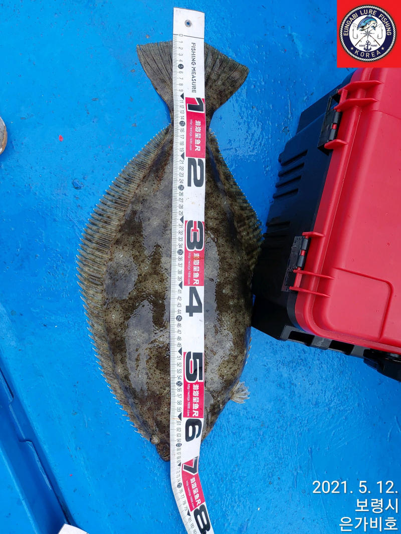 5월12일 출조후기