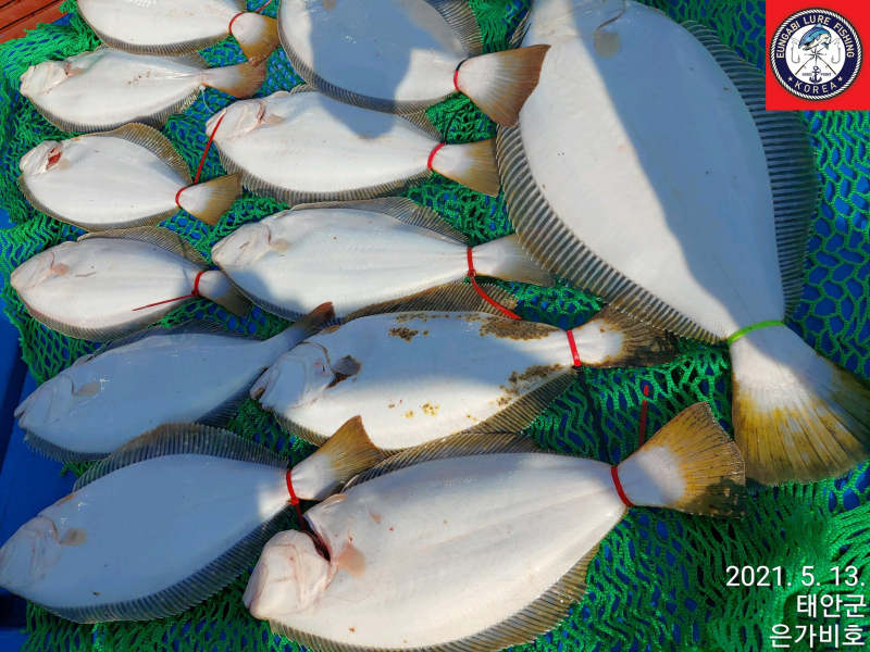 5월13일 출조후기