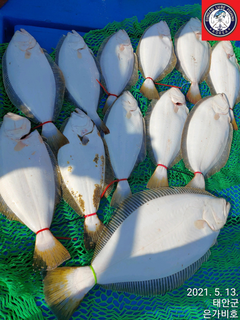 5월13일 출조후기