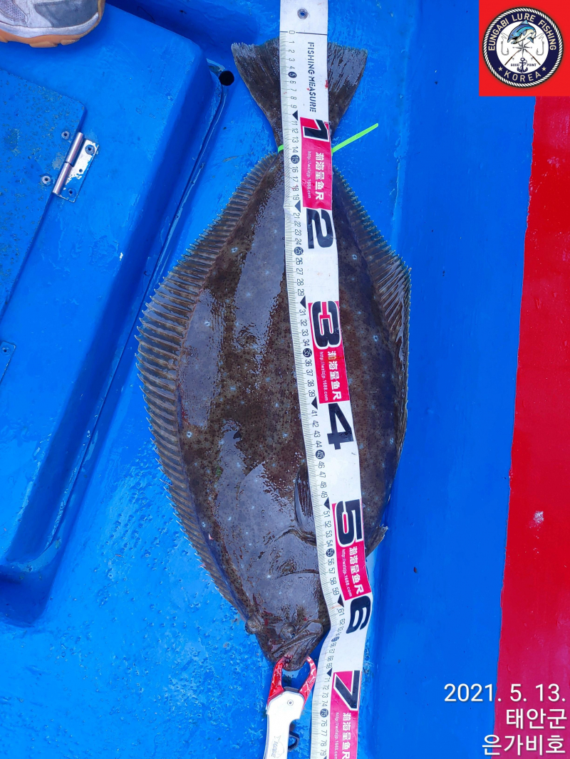 5월13일 출조후기