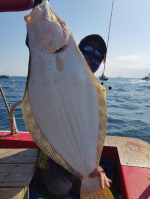 8월31일 격렬비열도 광어다운샷