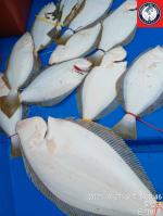 [은가비호]4월20일 출조후기