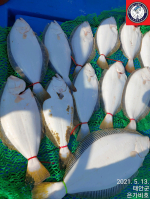 [은가비호]5월13일 출조후기