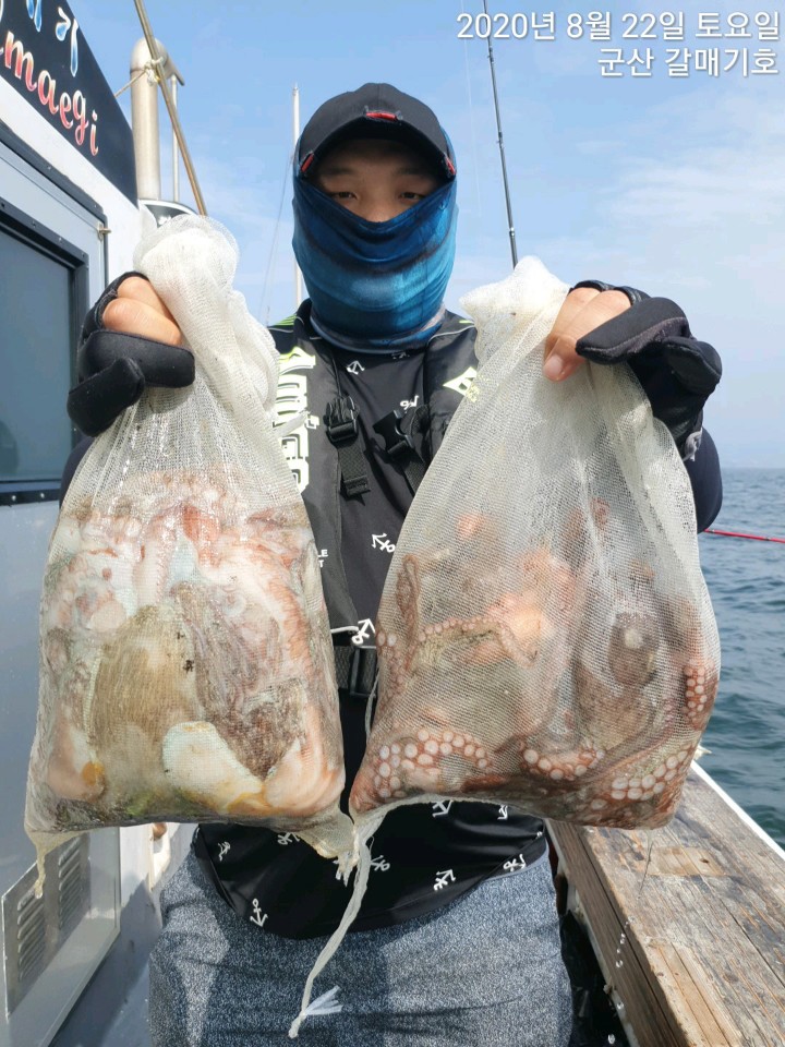 군산낚시프라자 이것이