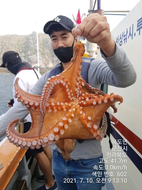 오늘의 조황 - 군산문어 시즌오픈~ 포인트가 주요관건~! 창성피싱호 - 군산낚시프라자