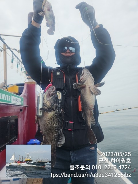 군산낚시프라자 원도권~쌍걸이,쓰리걸이들쿨러호조황~!오늘야간낙지,갑오징어출조~군산하이원호 - 더피싱::배낚시,선상낚시,출조버스,낚시배,실시간  예약