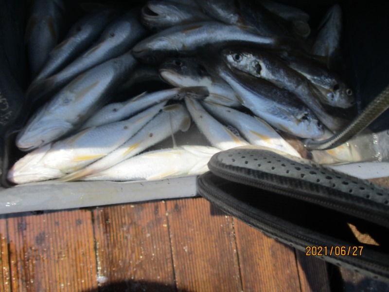 IMG_2760.JPG