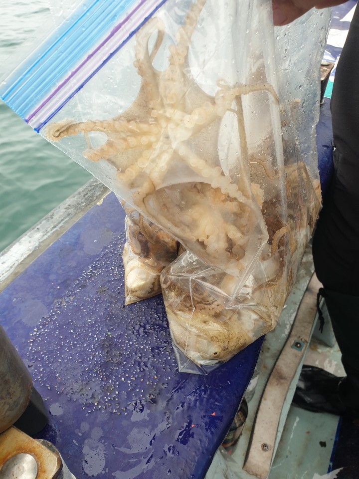 헤라호