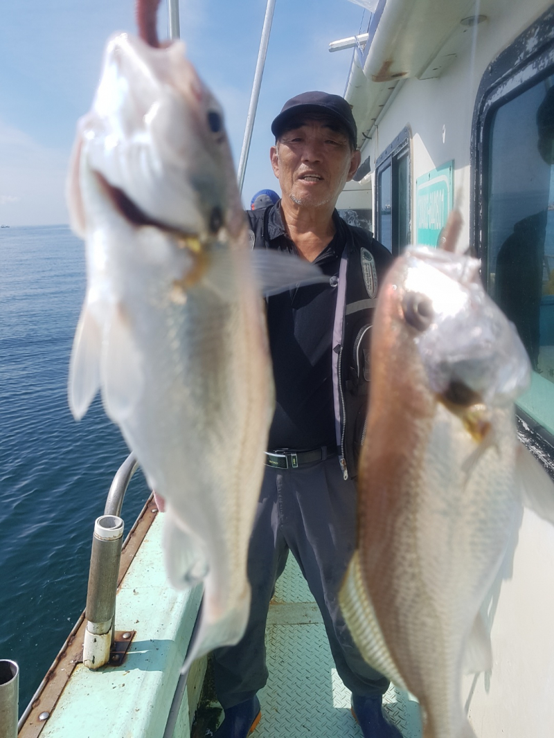 7/20 돌핀호 왕씨알 마릿수 쌍쌍걸이 부서백조기 쿨러 대박~~~~