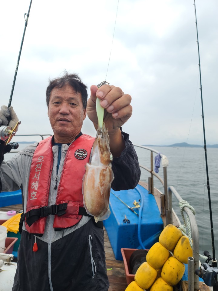 9월17일 오천서해호 쭈꾸미 갑오징어 조황입니다