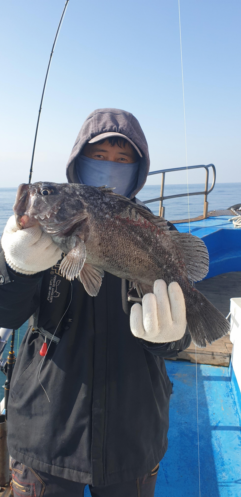 11월 25오천 서해호 외수질(생미끼) 조황입니다