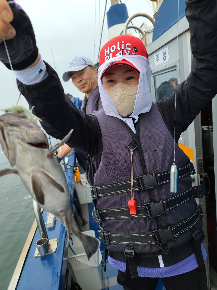 농어 우럭 외수질 조황입니다
