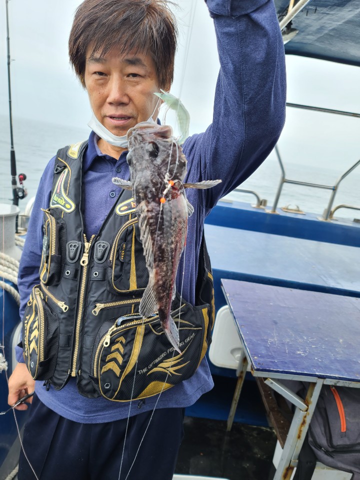 농어 우럭 외수질 조황입니다
