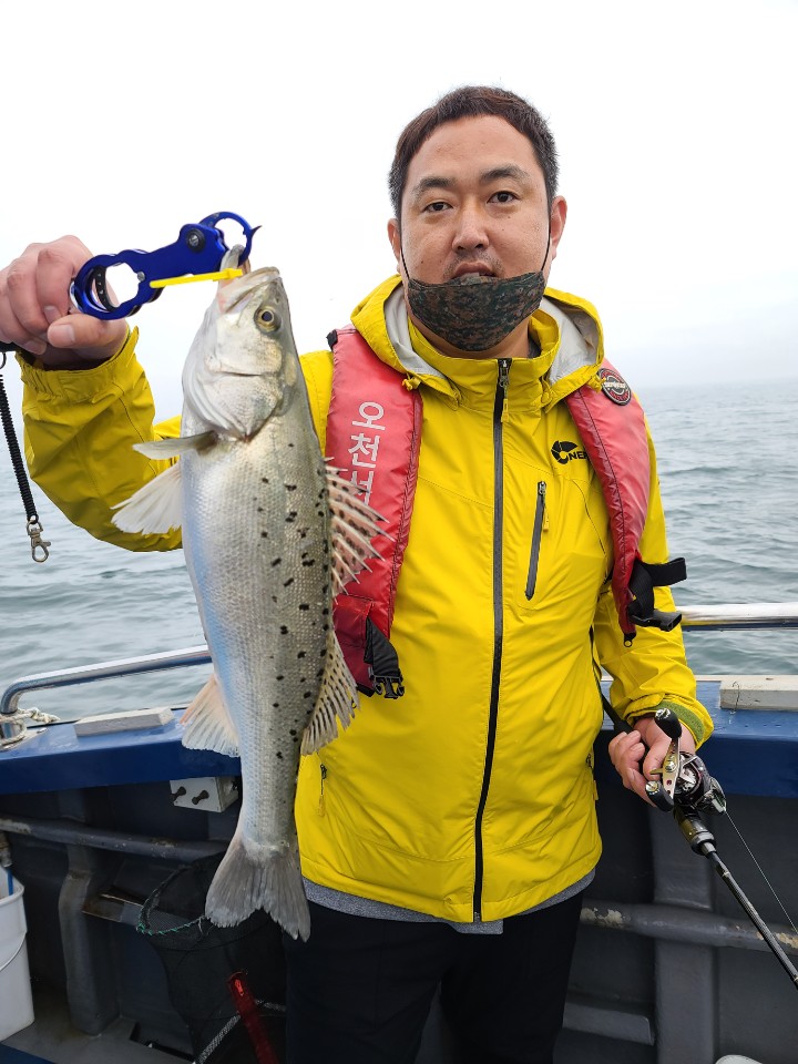 농어 우럭 외수질 조황입니다