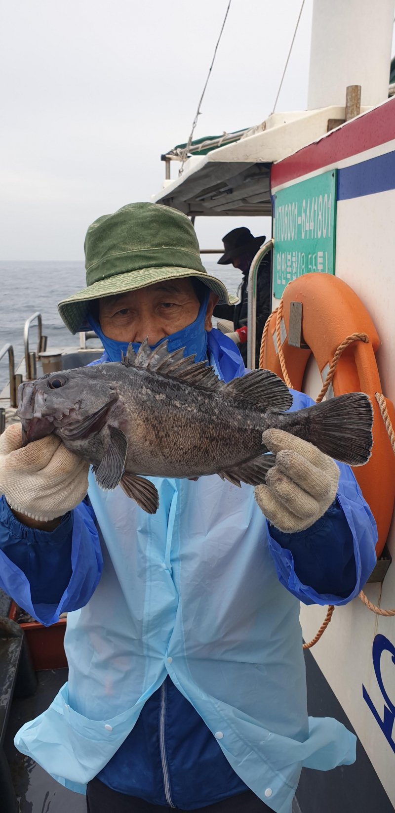 우럭 조황입니다