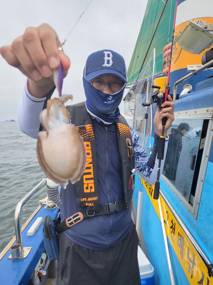 오천서해호 쭈꾸미 조황입니다